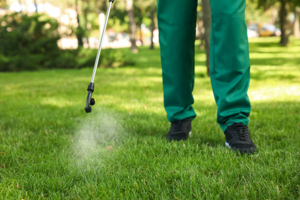 Best Mosquito Control Services  in Susitna North, AK