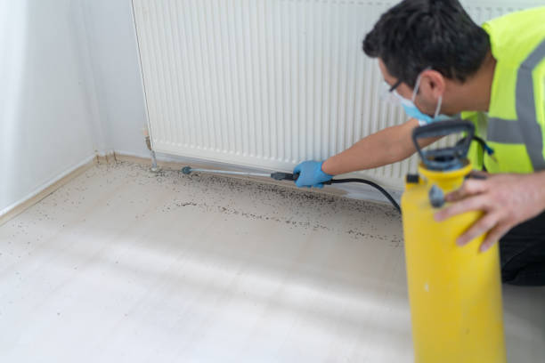 Trusted Susitna North, AK Pest Control Experts