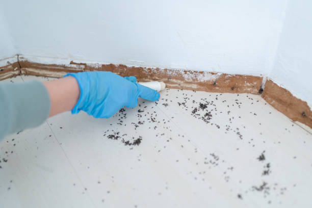 Best Pest Control Cost  in Susitna North, AK