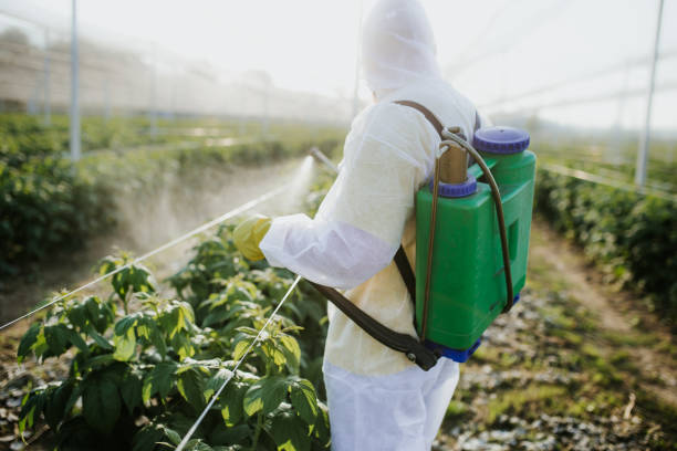 Best Pest Control for Businesses  in Susitna North, AK